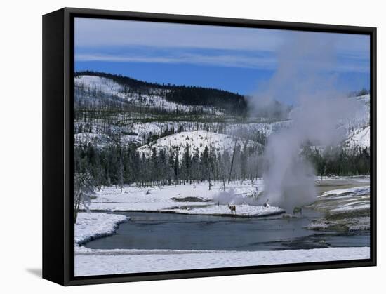 Geysers in Yellowstone National Park, Unesco World Heritage Site, Montana, USA-Alison Wright-Framed Stretched Canvas
