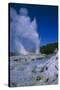 Geysers, Rotorua, New Zealand-Dr. Juerg Alean-Stretched Canvas