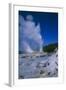 Geysers, Rotorua, New Zealand-Dr. Juerg Alean-Framed Premium Photographic Print