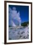 Geysers, Rotorua, New Zealand-Dr. Juerg Alean-Framed Photographic Print