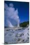 Geysers, Rotorua, New Zealand-Dr. Juerg Alean-Mounted Photographic Print