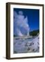 Geysers, Rotorua, New Zealand-Dr. Juerg Alean-Framed Photographic Print