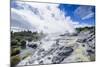 Geysirfield in the Te Puia Maori Cultural Center, Rotorura, North Island, New Zealand, Pacific-Michael Runkel-Mounted Photographic Print