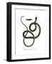 Ghamcheh Snake-null-Framed Giclee Print