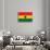 Ghana Flag Design with Wood Patterning - Flags of the World Series-Philippe Hugonnard-Stretched Canvas displayed on a wall