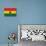 Ghana Flag Design with Wood Patterning - Flags of the World Series-Philippe Hugonnard-Art Print displayed on a wall