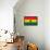 Ghana Flag Design with Wood Patterning - Flags of the World Series-Philippe Hugonnard-Framed Stretched Canvas displayed on a wall