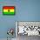 Ghana National Flag Poster Print-null-Framed Poster displayed on a wall