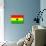 Ghana National Flag Poster Print-null-Mounted Poster displayed on a wall