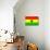 Ghana National Flag Poster Print-null-Mounted Poster displayed on a wall