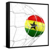 Ghanaian Soccer Ball in a Net-zentilia-Framed Stretched Canvas