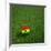 Ghanaian Soccerball Lying on Grass-zentilia-Framed Art Print