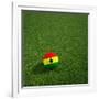 Ghanaian Soccerball Lying on Grass-zentilia-Framed Art Print