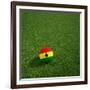 Ghanaian Soccerball Lying on Grass-zentilia-Framed Art Print