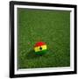 Ghanaian Soccerball Lying on Grass-zentilia-Framed Art Print