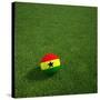 Ghanaian Soccerball Lying on Grass-zentilia-Stretched Canvas