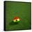 Ghanaian Soccerball Lying on Grass-zentilia-Framed Stretched Canvas