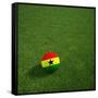 Ghanaian Soccerball Lying on Grass-zentilia-Framed Stretched Canvas