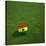 Ghanaian Soccerball Lying on Grass-zentilia-Stretched Canvas