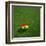 Ghanaian Soccerball Lying on Grass-zentilia-Framed Art Print