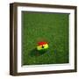 Ghanaian Soccerball Lying on Grass-zentilia-Framed Art Print