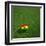 Ghanaian Soccerball Lying on Grass-zentilia-Framed Art Print