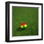 Ghanaian Soccerball Lying on Grass-zentilia-Framed Art Print