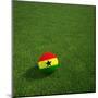 Ghanaian Soccerball Lying on Grass-zentilia-Mounted Art Print