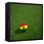 Ghanaian Soccerball Lying on Grass-zentilia-Framed Stretched Canvas
