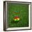 Ghanaian Soccerball Lying on Grass-zentilia-Framed Art Print