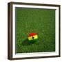 Ghanaian Soccerball Lying on Grass-zentilia-Framed Art Print