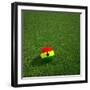 Ghanaian Soccerball Lying on Grass-zentilia-Framed Art Print