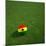 Ghanaian Soccerball Lying on Grass-zentilia-Mounted Art Print