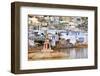 Ghats at Holy Pushkar Lake and Old Rajput Palaces, Pushkar, Rajasthan, India, Asia-Godong-Framed Photographic Print