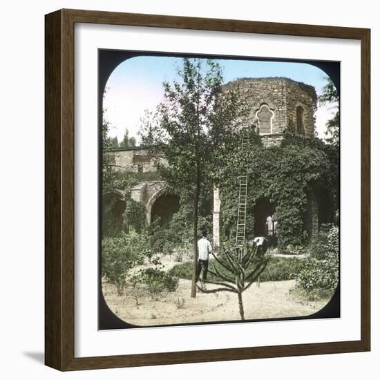 Ghent (Belgium), Ruins of the Abbey of Saint-Bavon-Leon, Levy et Fils-Framed Photographic Print