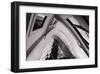 Gherkin-null-Framed Art Print