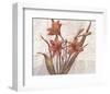 Ghina-Karsten Kirchner-Framed Art Print