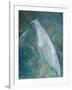 Ghost Birds-Tim Nyberg-Framed Giclee Print