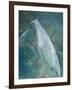 Ghost Birds-Tim Nyberg-Framed Giclee Print