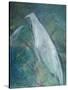 Ghost Birds-Tim Nyberg-Stretched Canvas