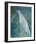 Ghost Birds-Tim Nyberg-Framed Giclee Print