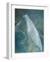 Ghost Birds-Tim Nyberg-Framed Giclee Print