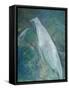 Ghost Birds-Tim Nyberg-Framed Stretched Canvas