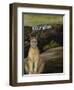 Ghost Cat-Leah Saulnier-Framed Giclee Print