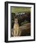 Ghost Cat-Leah Saulnier-Framed Giclee Print