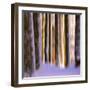 Ghost Dance-Philippe Sainte-Laudy-Framed Photographic Print