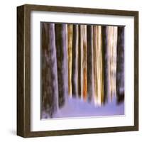 Ghost Dance-Philippe Sainte-Laudy-Framed Premium Photographic Print