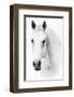 Ghost Equus-null-Framed Art Print