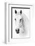 Ghost Equus-null-Framed Art Print