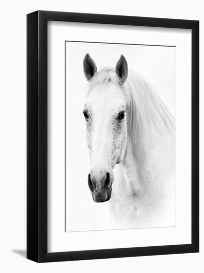 Ghost Equus-null-Framed Art Print